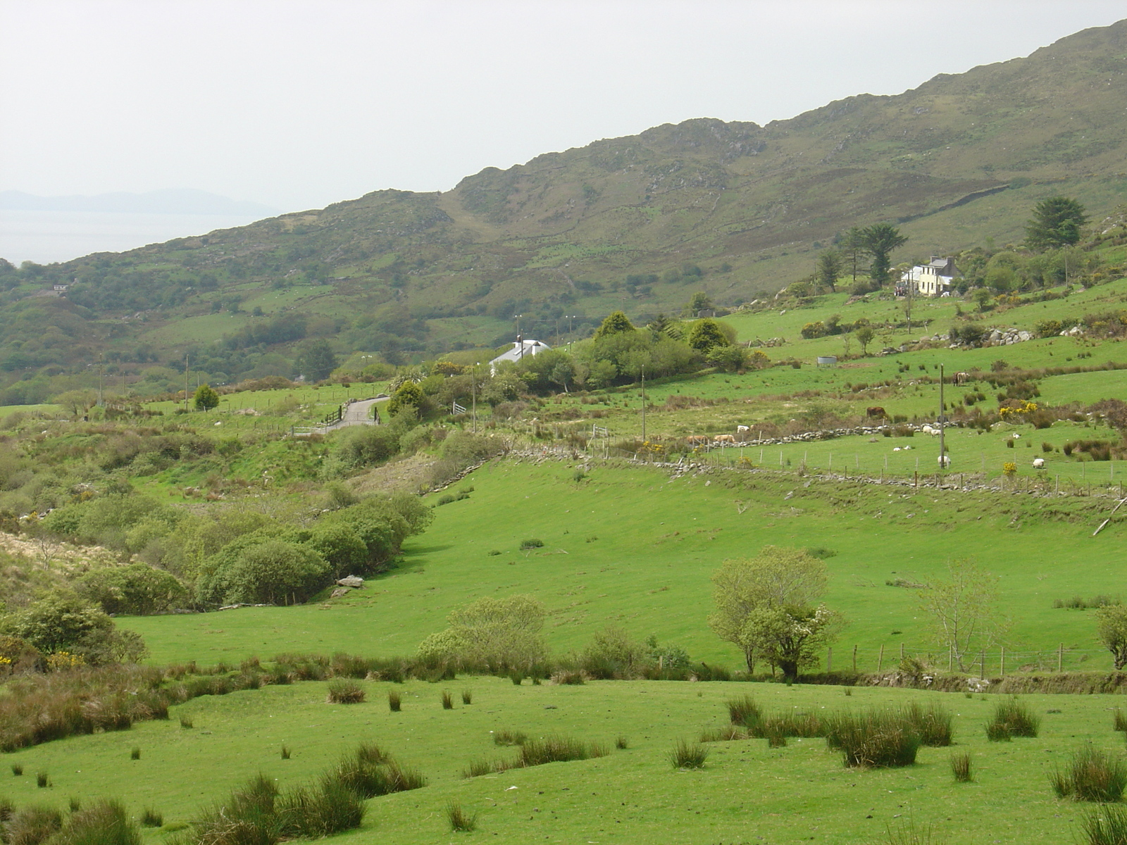 รูปถ่าย ไอร์แลนด์(Ireland) วงแหวนแห่งเคร์รี(Kerry Ring) ป้อมสเตก(Staigue Fort) 2004-05 21