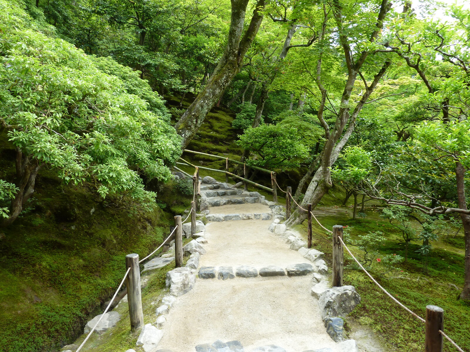 รูปถ่าย ญี่ปุ่น(Japan) เกียวโต(Kyoto) วัดกินกะกุจิ (ศาลาเงิน)(Ginkakuji Temple(Silver Pavilion)) 2010-06 21