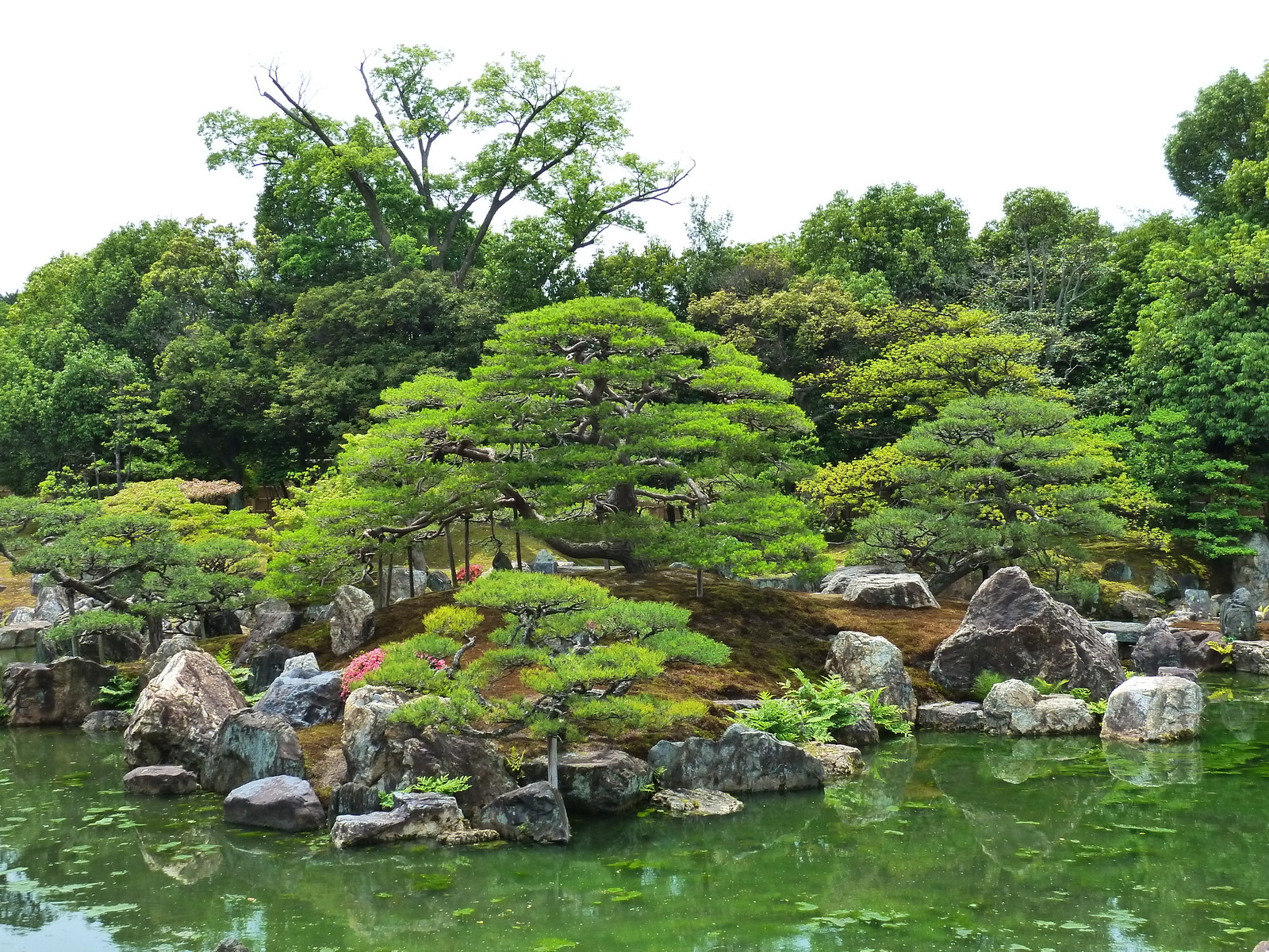 รูปถ่าย ญี่ปุ่น(Japan) 2010-06 31