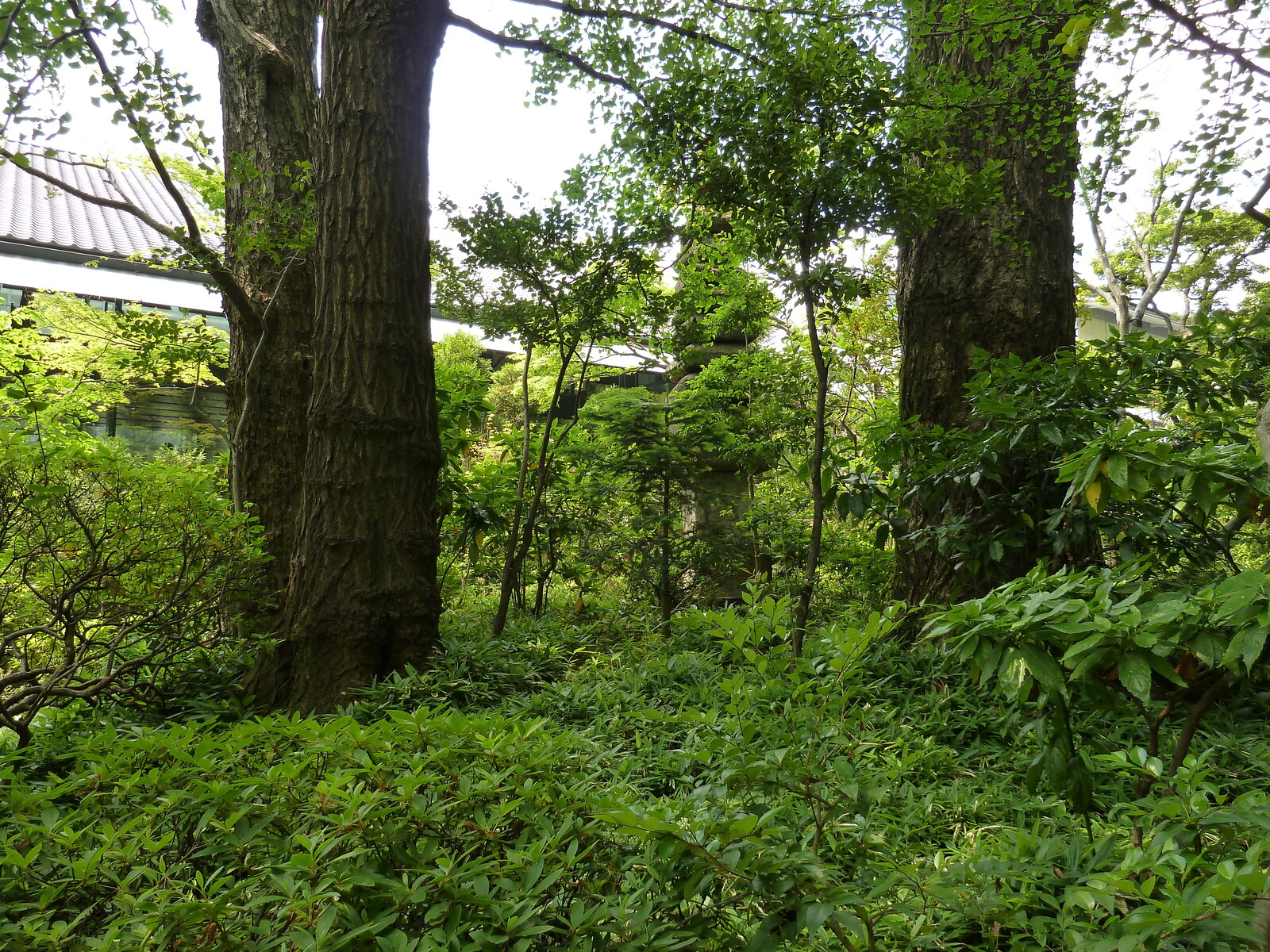 รูปถ่าย ญี่ปุ่น(Japan) โตเกียว(Tokyo) พิพิธภัณฑ์เนซุ(Nezu Museum) 2010-06 113