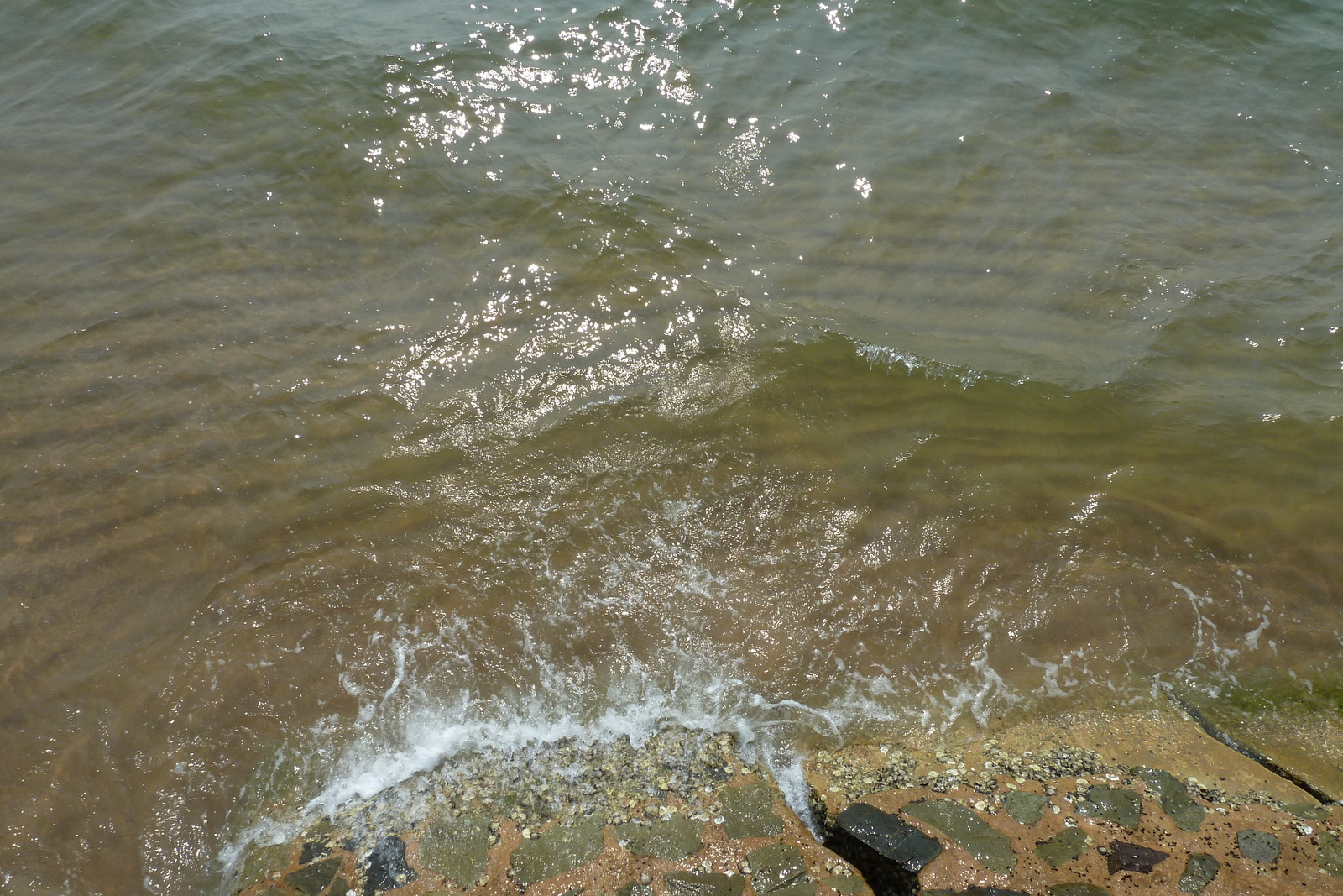 รูปถ่าย ไทย(Thailand) จอมเทียน(Jomtien) คอนโดลารอยัลบีช(La Royale Beach condo) 2011-02 2