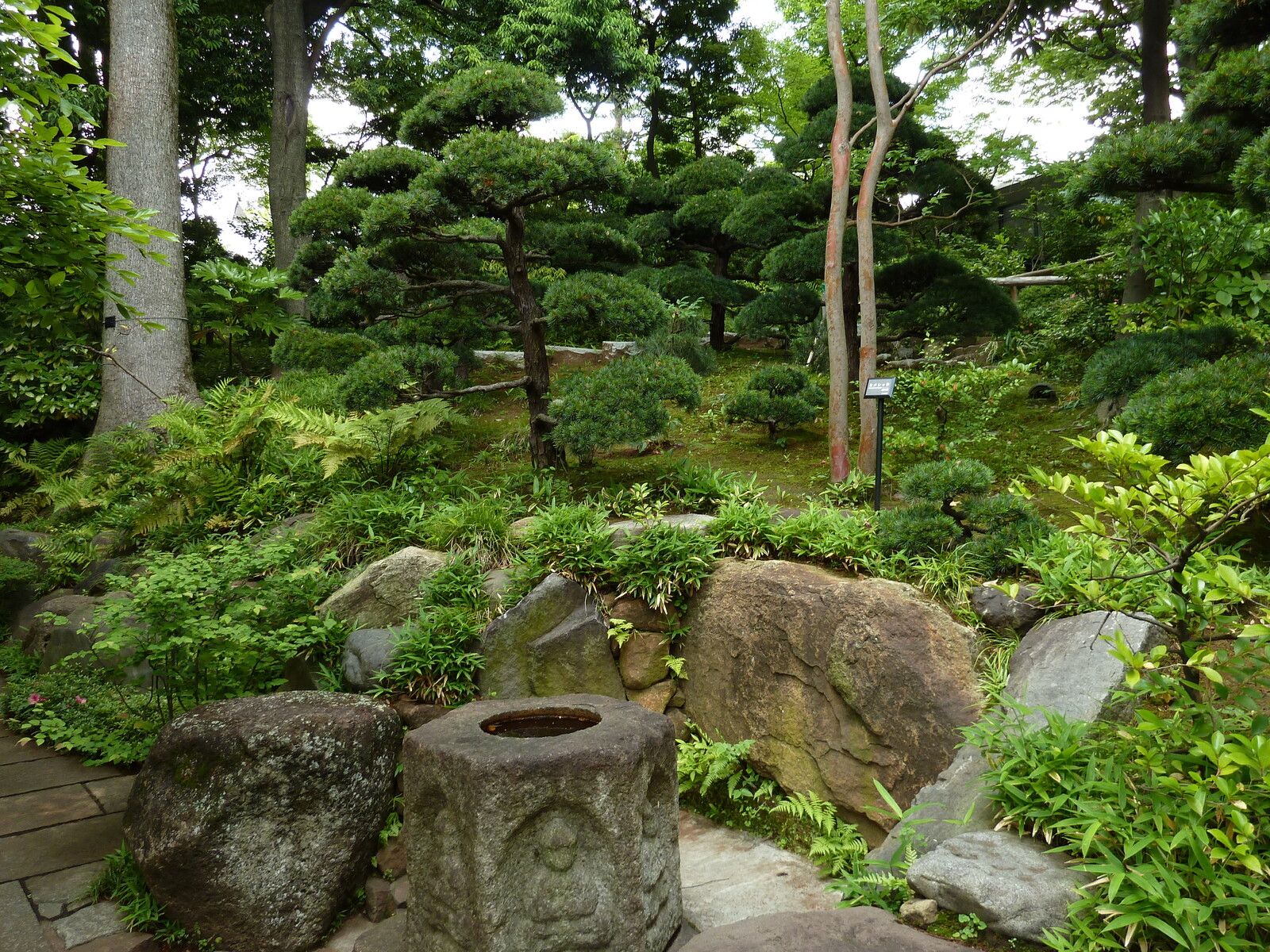 รูปถ่าย ญี่ปุ่น(Japan) โตเกียว(Tokyo) พิพิธภัณฑ์เนซุ(Nezu Museum) 2010-06 72