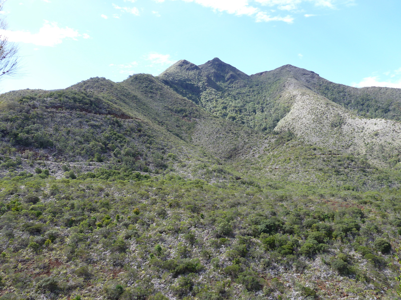 รูปถ่าย นิวแคลิโดเนีย(New Caledonia) ถนนจากทีโอไปกานาลา(Thio to Canala road) 2010-05 18