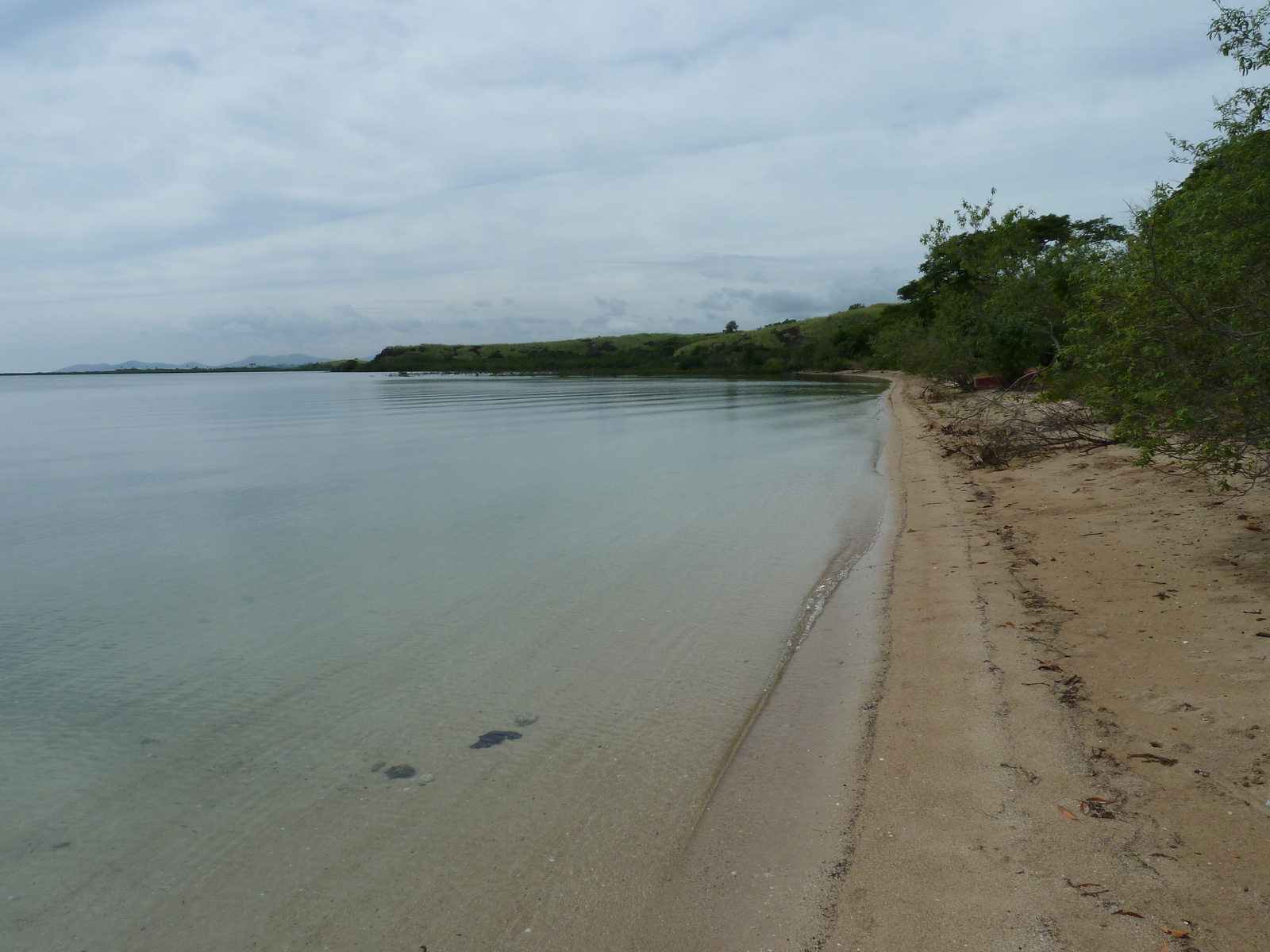 รูปถ่าย ฟิจิ(Fiji) วีเซเซ(Viseisei) 2010-05 19