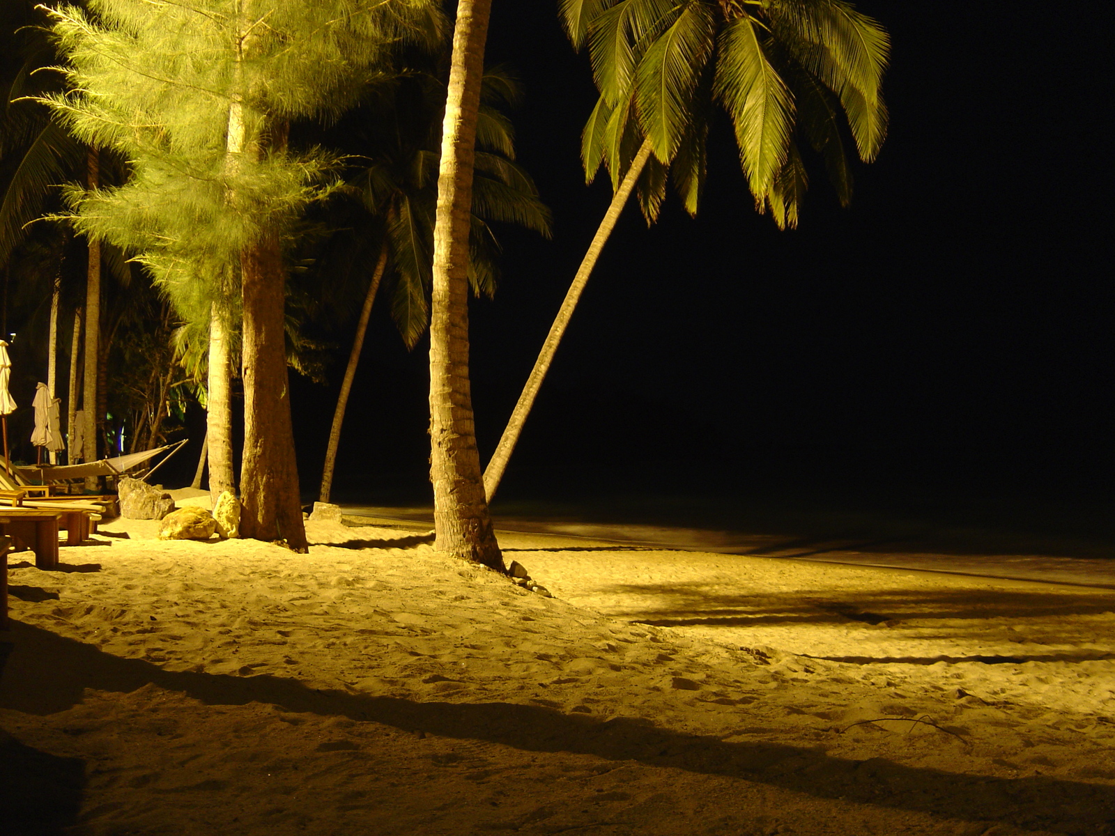 รูปถ่าย ไทย(Thailand) เขาหลัก(Khao Lak) โรงแรมเลอเมอริเดียน เขาหลัก(Meridien Khao Lak Hotel) สีสันกลางคืน(By Night) 2005-12 20
