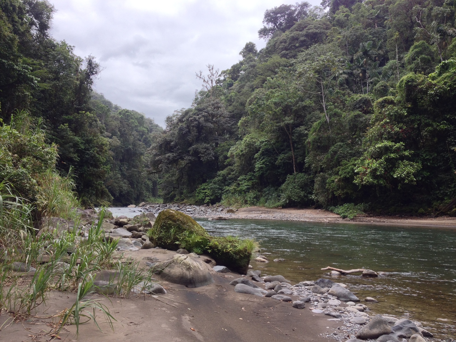 รูปถ่าย คอสตาริกา(Costa Rica) แม่น้ำปากัวเร(Pacuare River) 2015-03 152