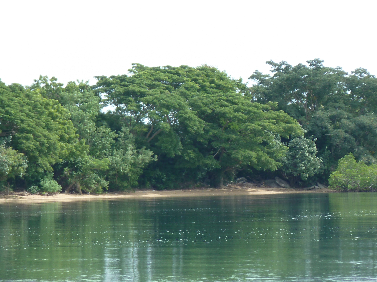 รูปถ่าย ฟิจิ(Fiji) วีเซเซ(Viseisei) 2010-05 14