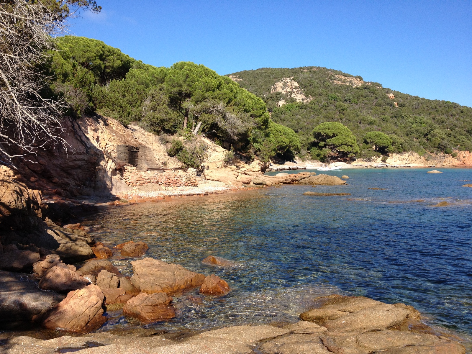 รูปถ่าย ฝรั่งเศส(France) คอร์สิคา(Corsica) ปาลอมบัจจา(Palombaggia) 2012-09 48