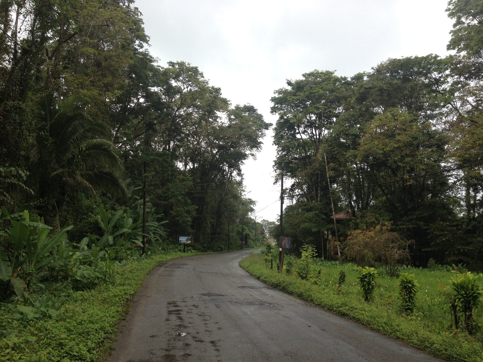 รูปถ่าย คอสตาริกา(Costa Rica) ปวยร์โตเบียโฆเดตาลามังกา(Puerto Viejo de Talamanca) 2015-03 90