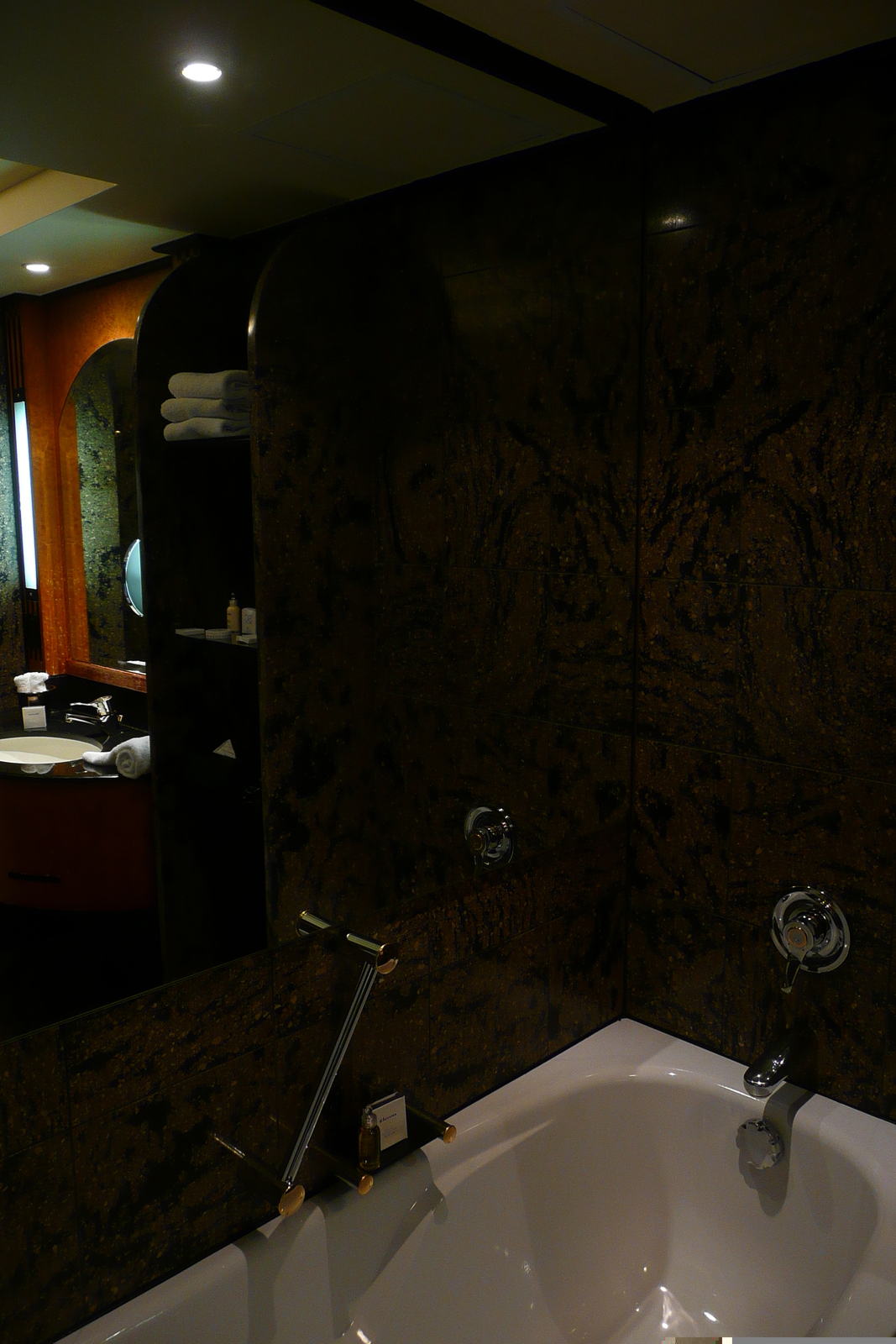 รูปถ่าย แอฟริกาใต้(South Africa) โจฮันเนสเบิร์ก(Johannesburg) โรงแรมอินเตอร์คอนติเนนตัล(Intercontinental Hotel) 2008-09 21
