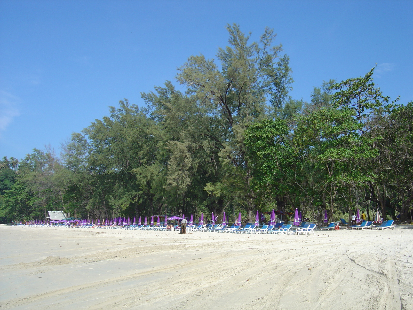 รูปถ่าย ไทย(Thailand) ภูเก็ต(Phuket) หาดกะตะ(Kata Beach) 2005-12 24