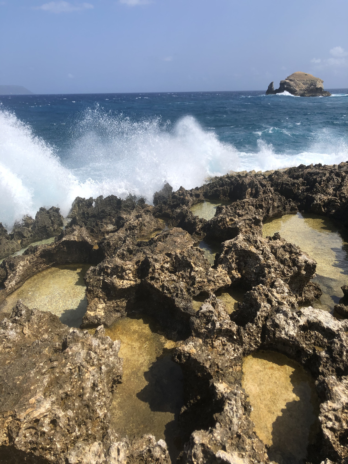 รูปถ่าย กวาเดอลูป(Guadeloupe) แหลมคาสเซิลพอยต์(Castle Point) 2021-02 204