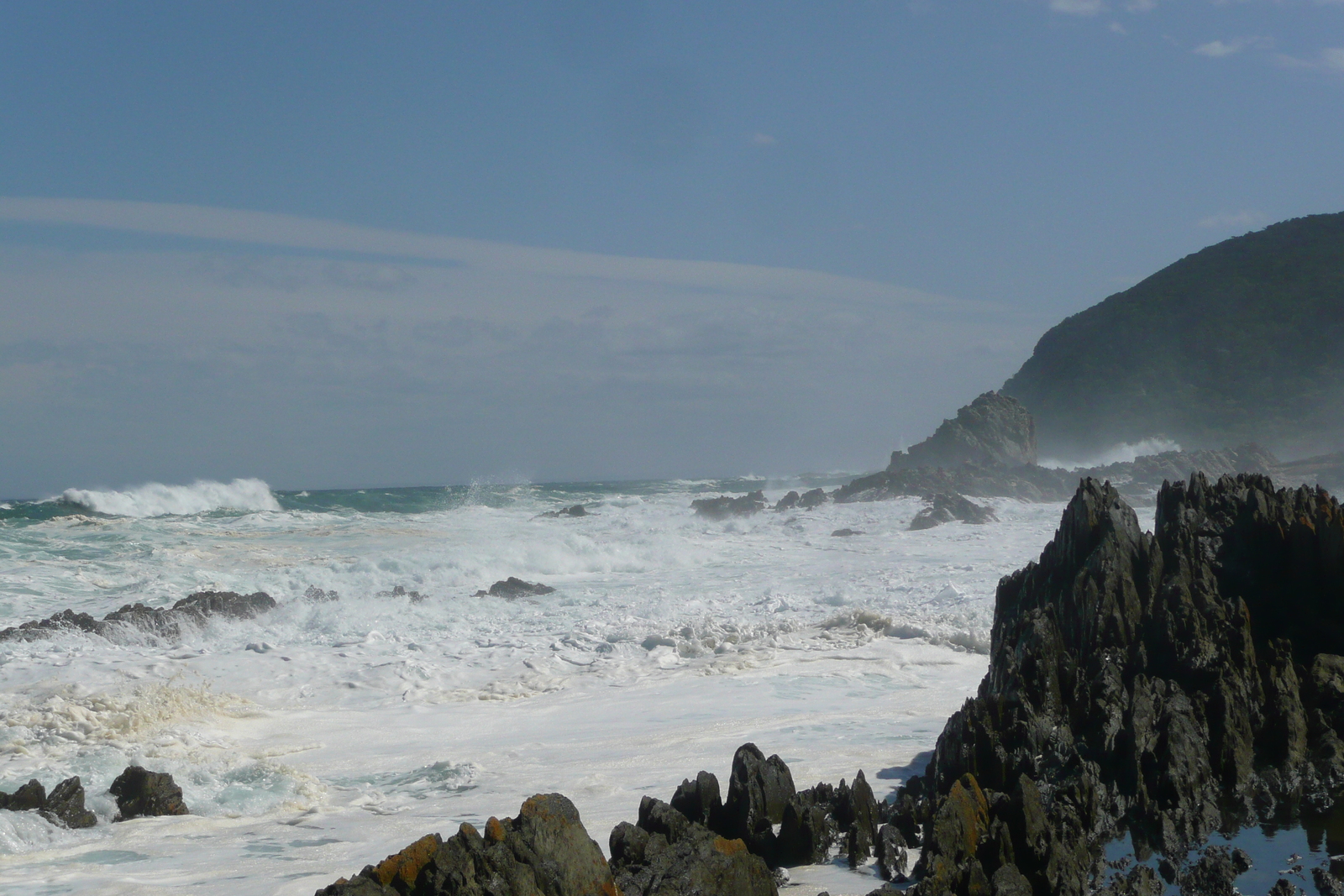 รูปถ่าย แอฟริกาใต้(South Africa) อุทยานแห่งชาติซิตซิคัมมา(Tsitsikamma National Park) 2008-09 432