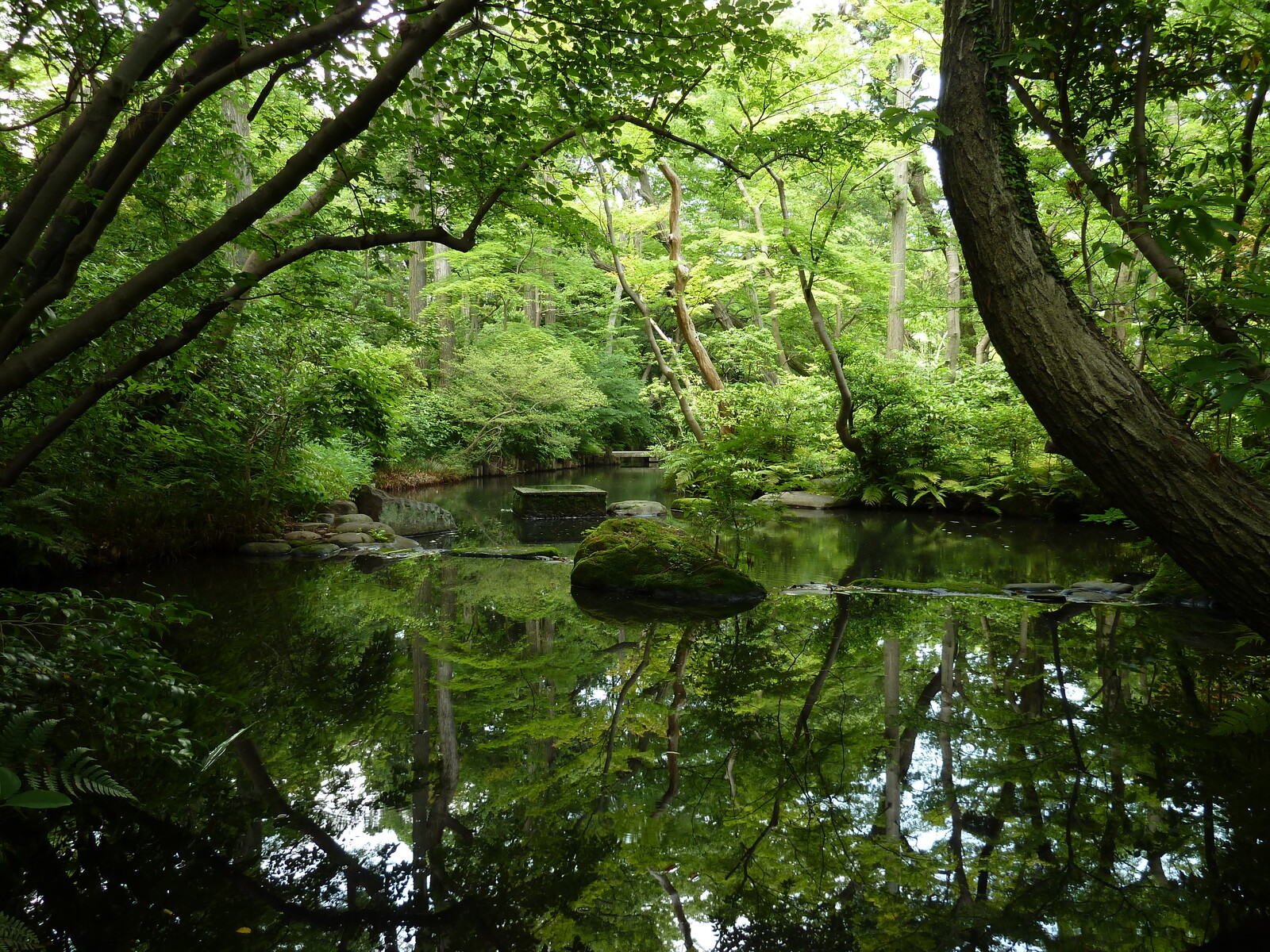รูปถ่าย ญี่ปุ่น(Japan) โตเกียว(Tokyo) พิพิธภัณฑ์เนซุ(Nezu Museum) 2010-06 57