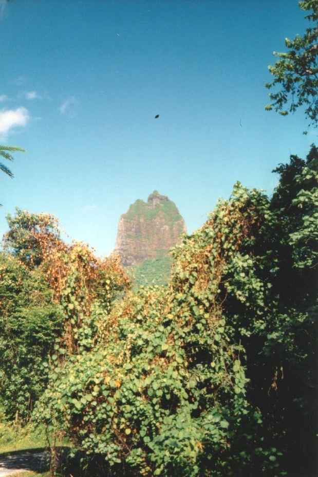 รูปถ่าย เฟรนช์โพลี่นีเซีย(Polynesia) 1993-04 6