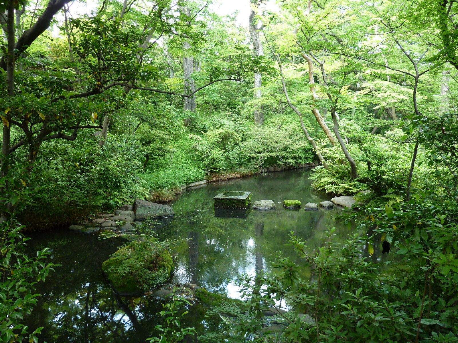 รูปถ่าย ญี่ปุ่น(Japan) โตเกียว(Tokyo) พิพิธภัณฑ์เนซุ(Nezu Museum) 2010-06 101