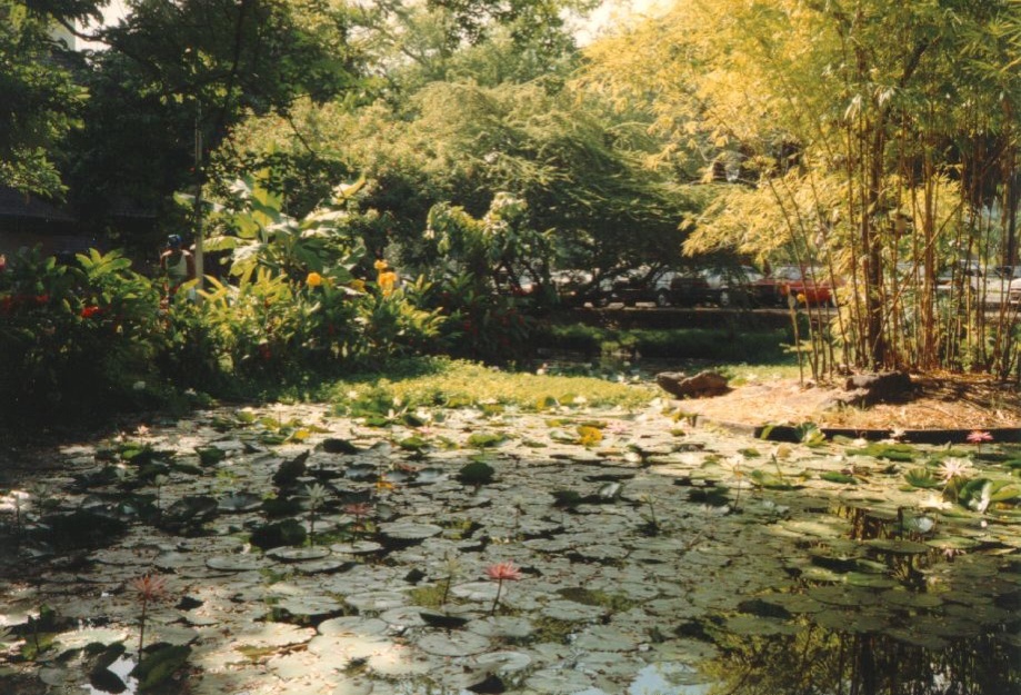 รูปถ่าย เฟรนช์โพลี่นีเซีย(Polynesia) ตาฮิติ(Tahiti) 1993-04 2