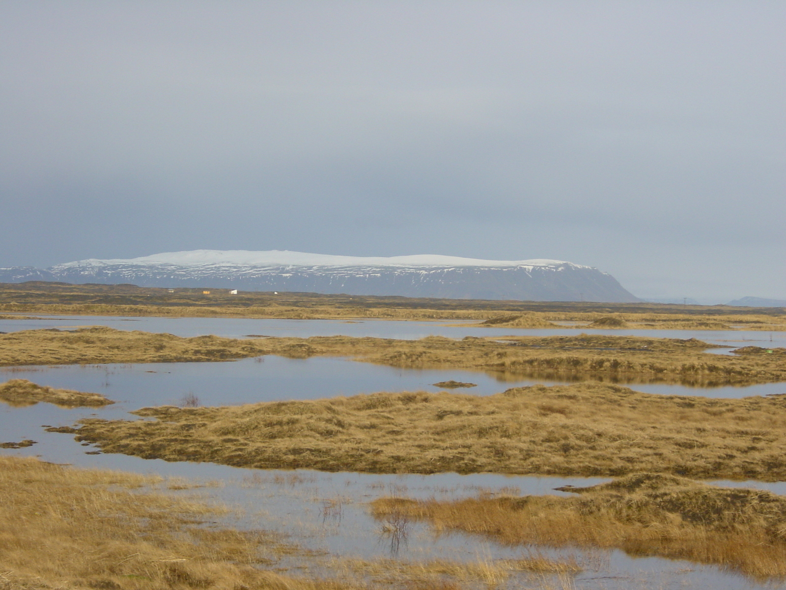 รูปถ่าย ไอซ์แลนด์(Iceland) แอราร์ิบาคคิ(Eyrarbakki) 2003-03 0