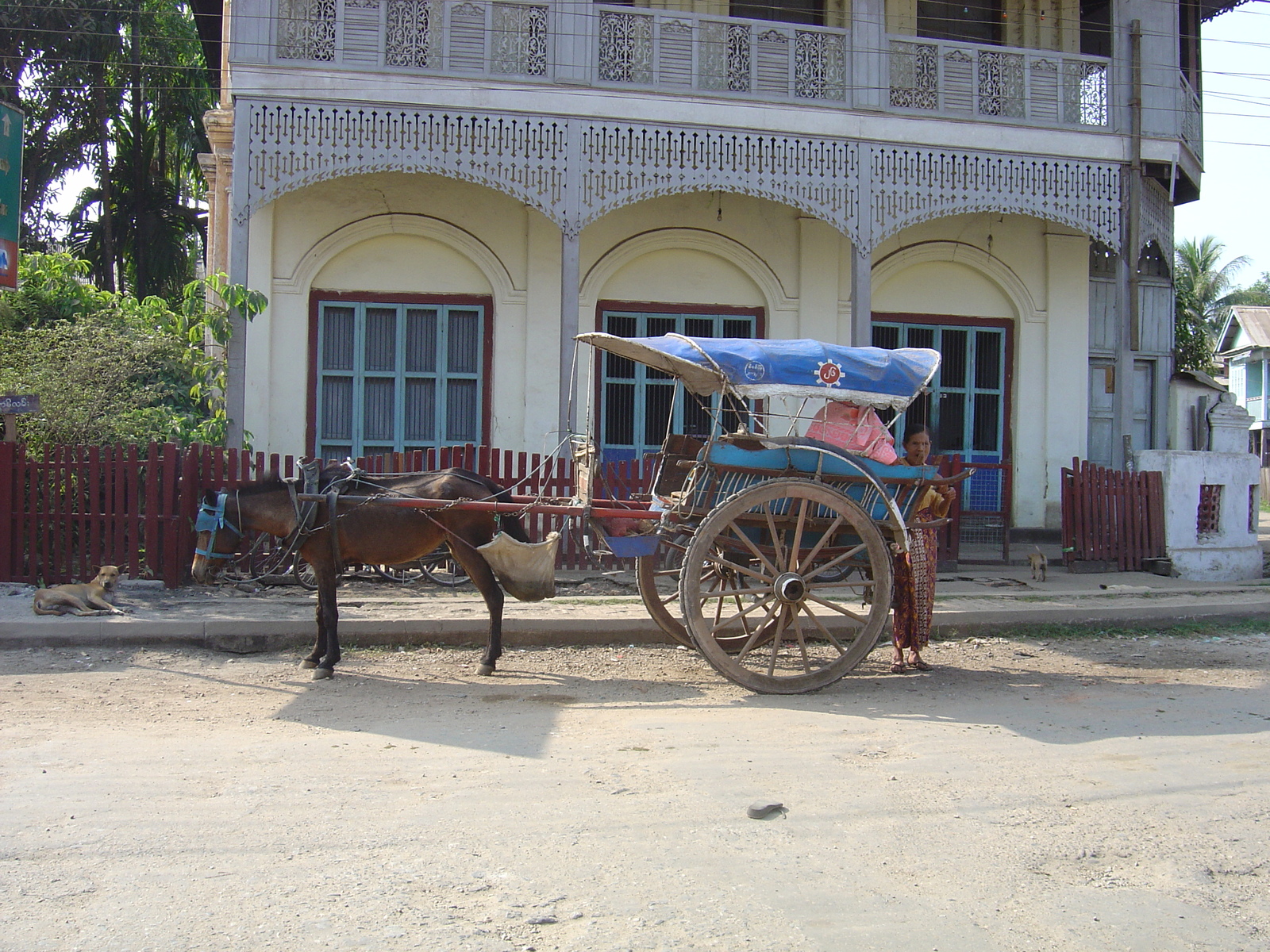 รูปถ่าย พม่า(Myanmar) ทวาย(Dawei (TAVOY)) 2005-01 46