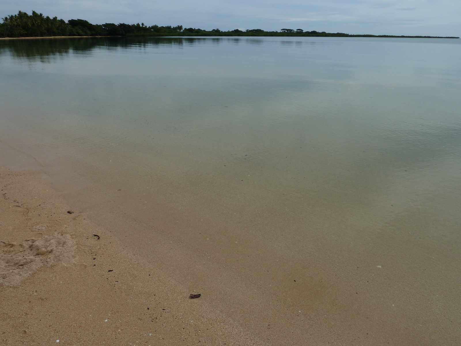 รูปถ่าย ฟิจิ(Fiji) วีเซเซ(Viseisei) 2010-05 18