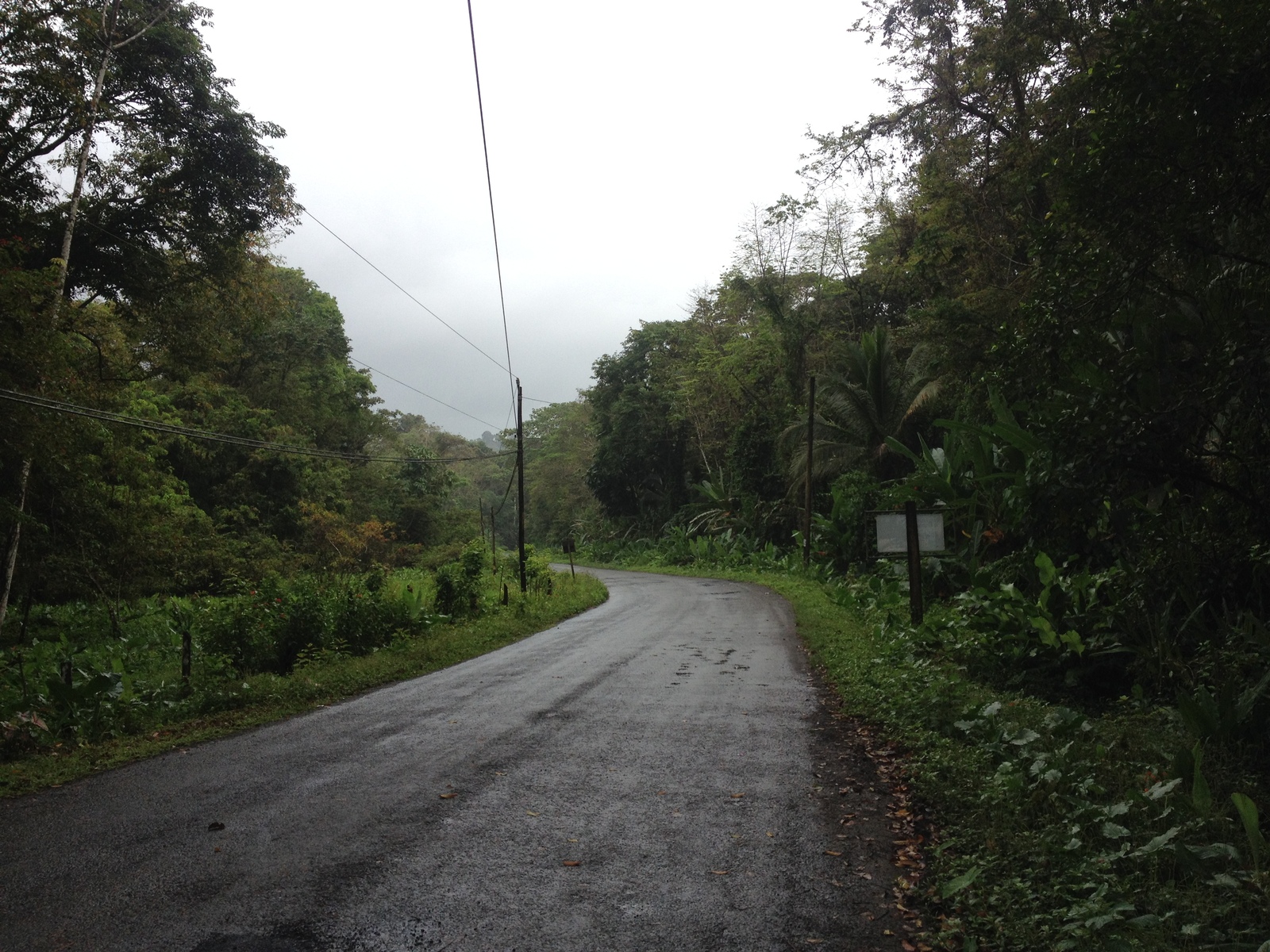 รูปถ่าย คอสตาริกา(Costa Rica) ปวยร์โตเบียโฆเดตาลามังกา(Puerto Viejo de Talamanca) 2015-03 72