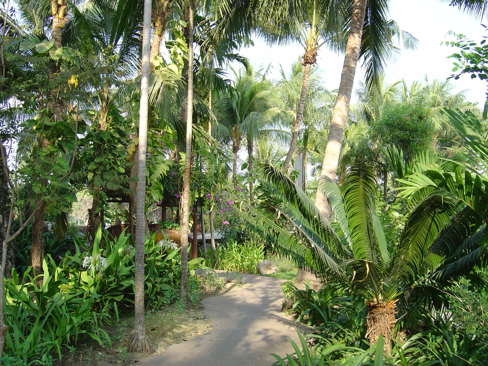 รูปถ่าย พม่า(Myanmar) ย่างกุ้ง(Yangon) โรงแรมกันดอจีพาเลซ(Kandawgyi Palace Hotel) 2005-01 24
