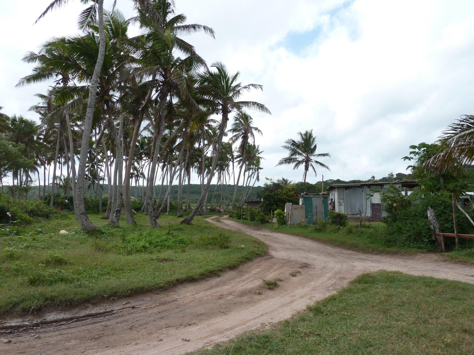 รูปถ่าย ฟิจิ(Fiji) ถนนจากนาดีไปนาตาโดลา(Nadi to Natadola road) 2010-05 24