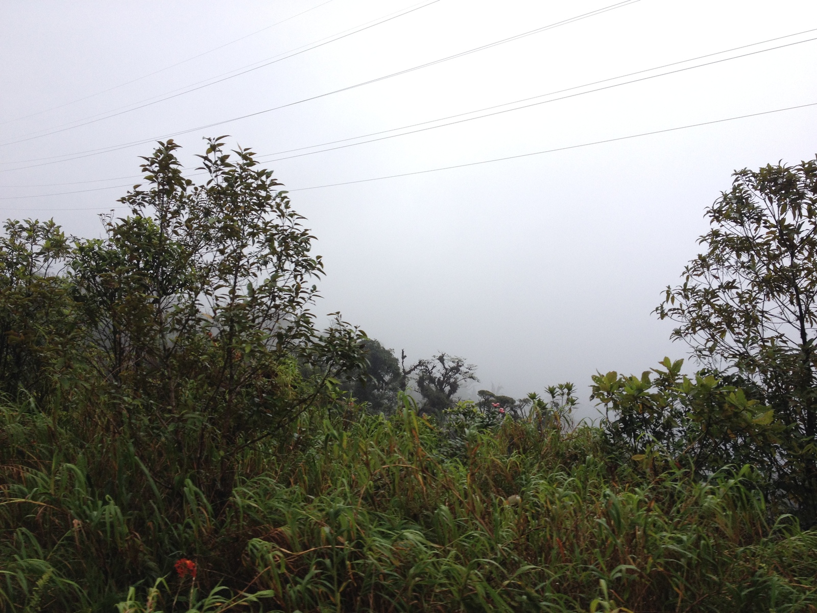 รูปถ่าย ปานามา(Panama) จากดาบิดไปโบกัสเดลโตโร(David to Bocas del toro) 2015-03 66