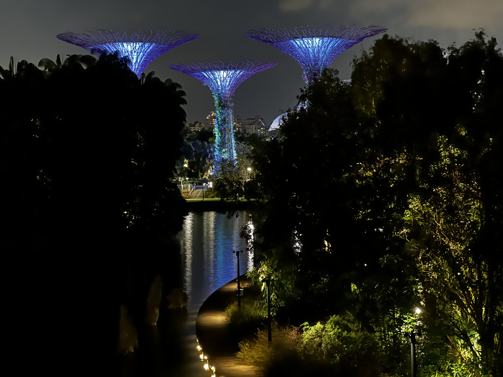 รูปถ่าย สิงคโปร์(Singapore) การ์เดนส์บายเดอะเบย์(Garden by the bay) 2023-01 23