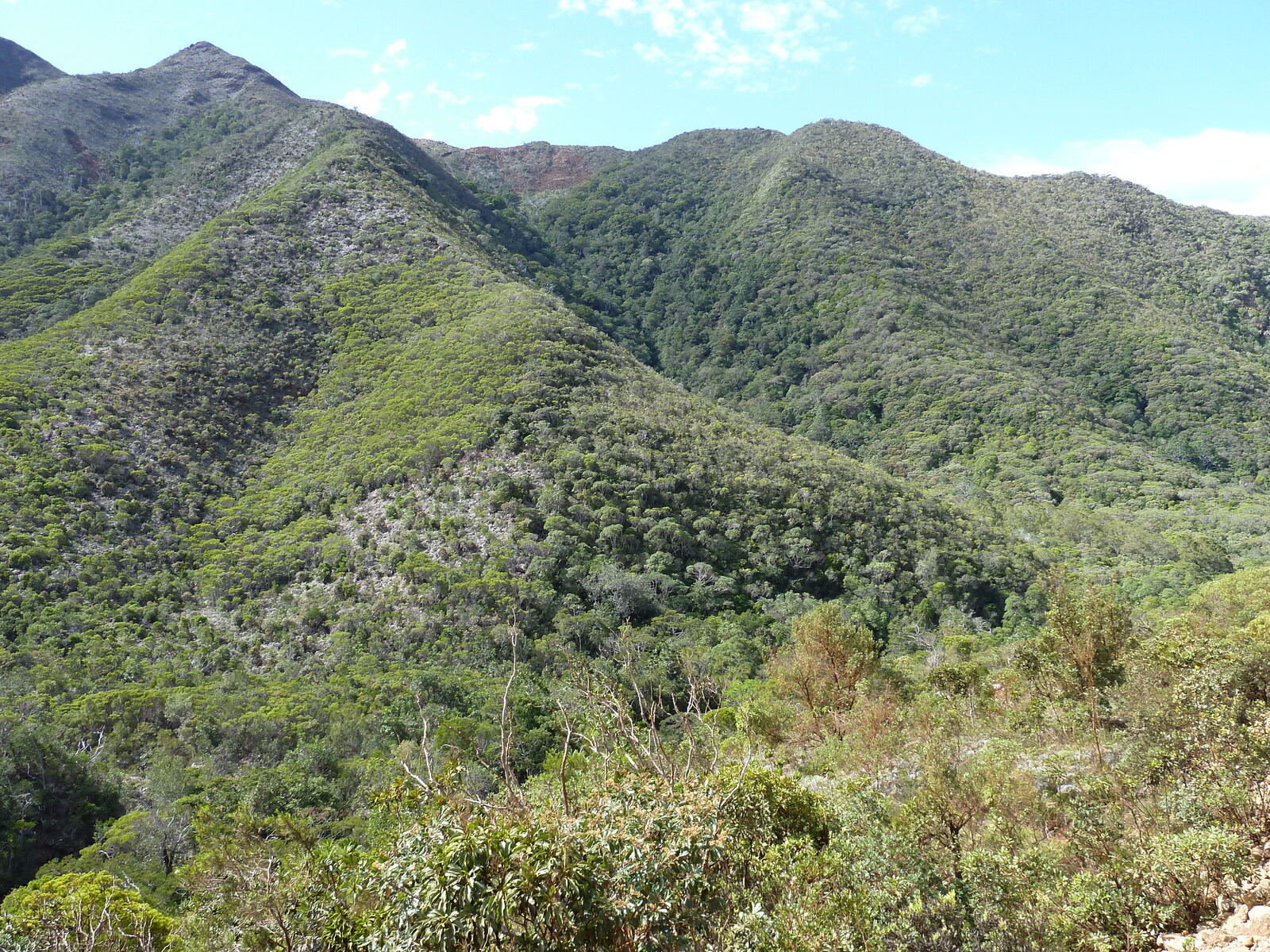 รูปถ่าย นิวแคลิโดเนีย(New Caledonia) ถนนจากทีโอไปกานาลา(Thio to Canala road) 2010-05 32