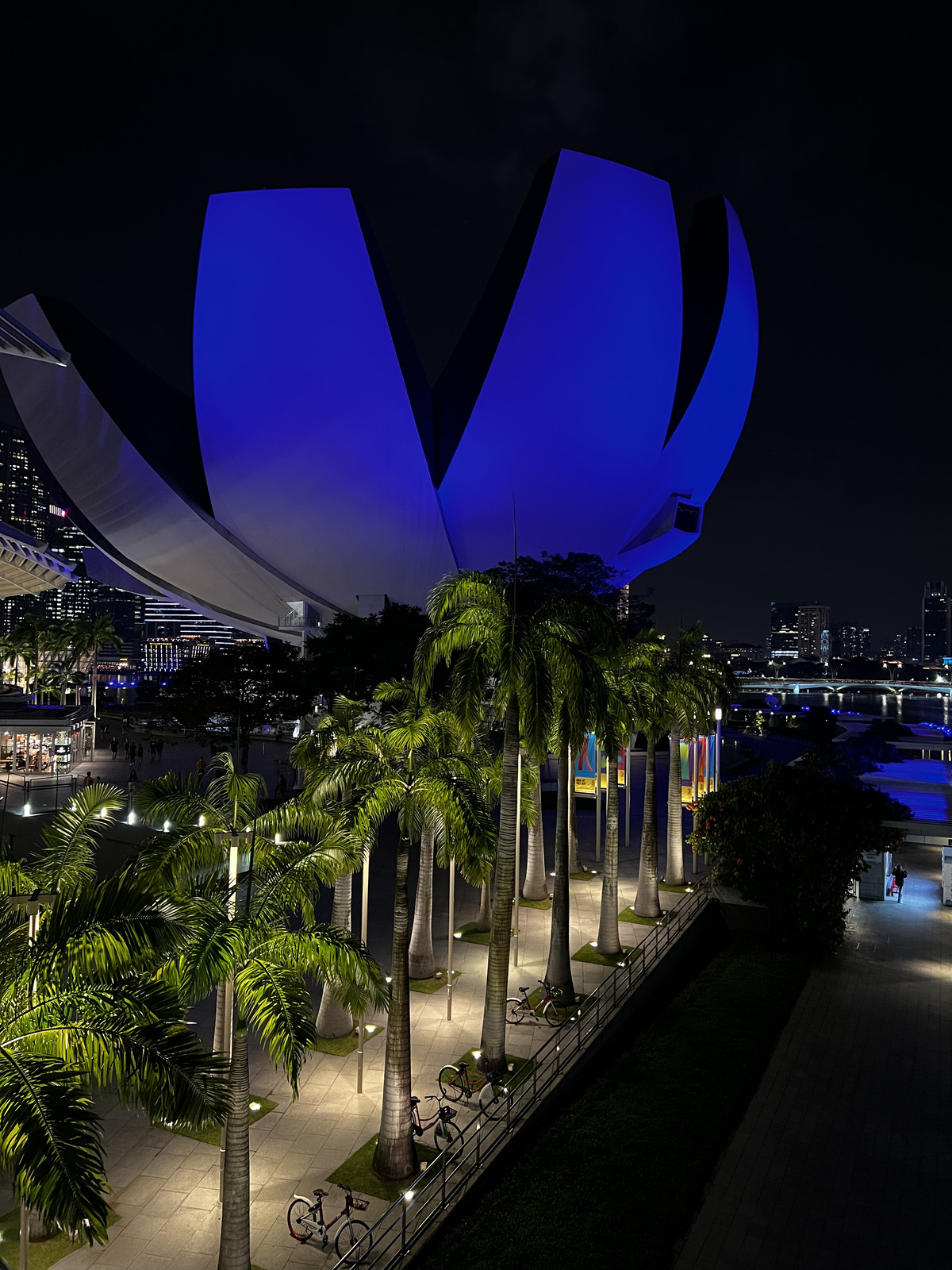 รูปถ่าย สิงคโปร์(Singapore) มารีนาเบย์แซนด์ส(Marina Bay Sands) 2023-01 7