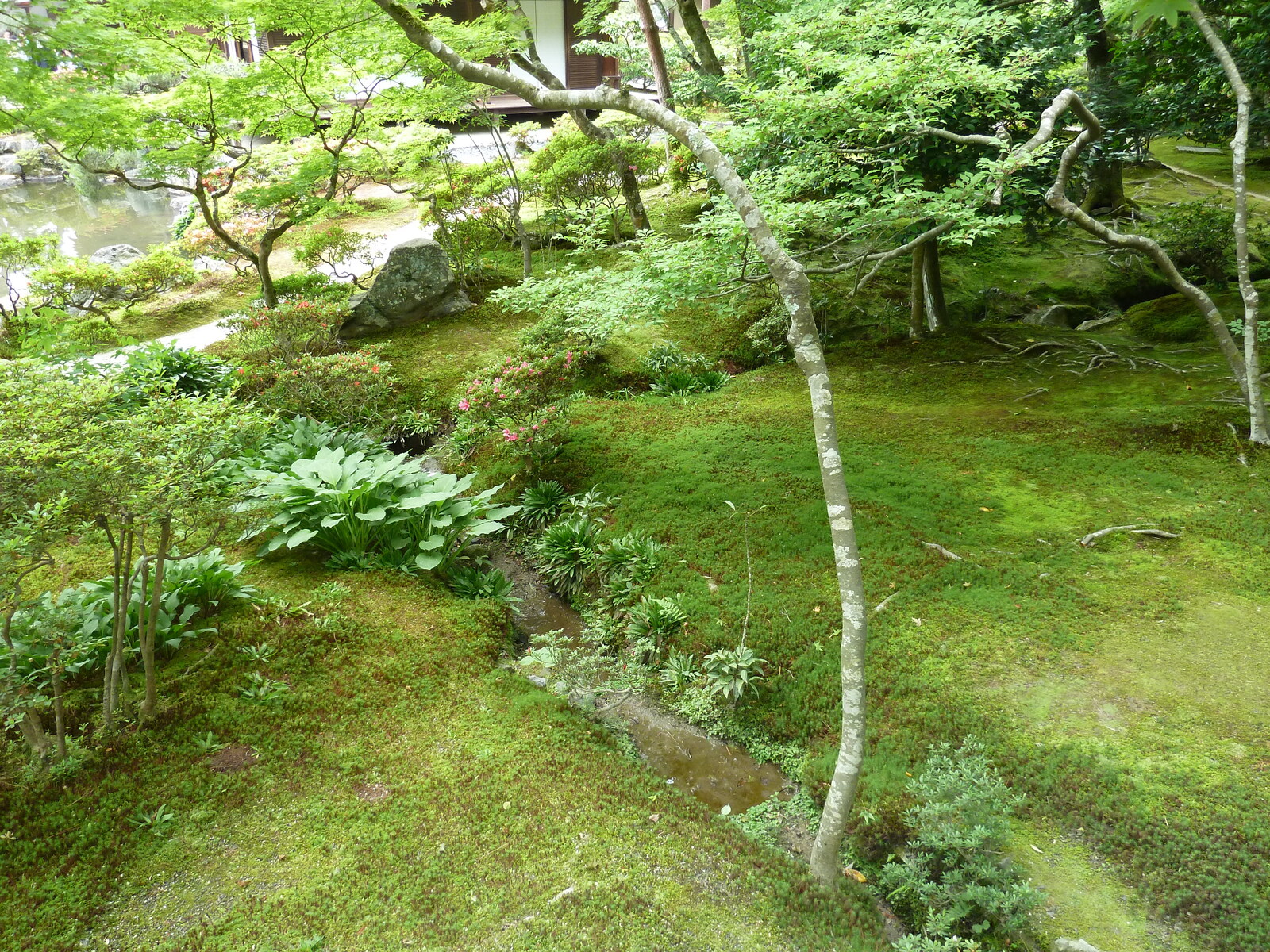 รูปถ่าย ญี่ปุ่น(Japan) เกียวโต(Kyoto) วัดกินกะกุจิ (ศาลาเงิน)(Ginkakuji Temple(Silver Pavilion)) 2010-06 32