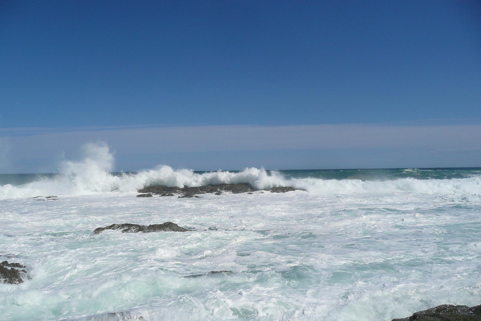 รูปถ่าย แอฟริกาใต้(South Africa) อุทยานแห่งชาติซิตซิคัมมา(Tsitsikamma National Park) 2008-09 89