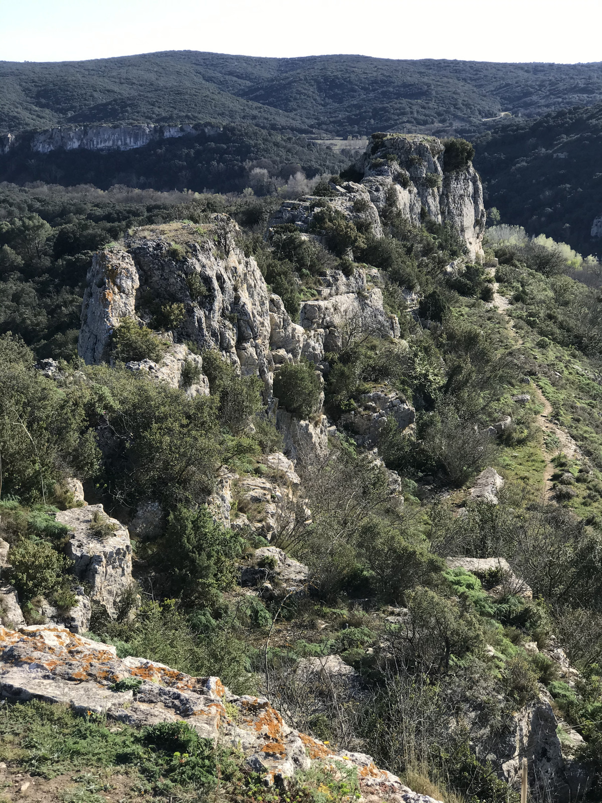 รูปถ่าย ฝรั่งเศส(France) นีเมอ(Nimes) 2021-05 51