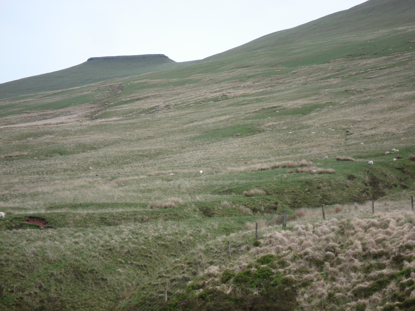 รูปถ่าย อังกฤษ(United Kingdom) อุทยานแห่งชาติเบรคอนบีคอนส์(Brecon Beacons National Park) 2006-05 49