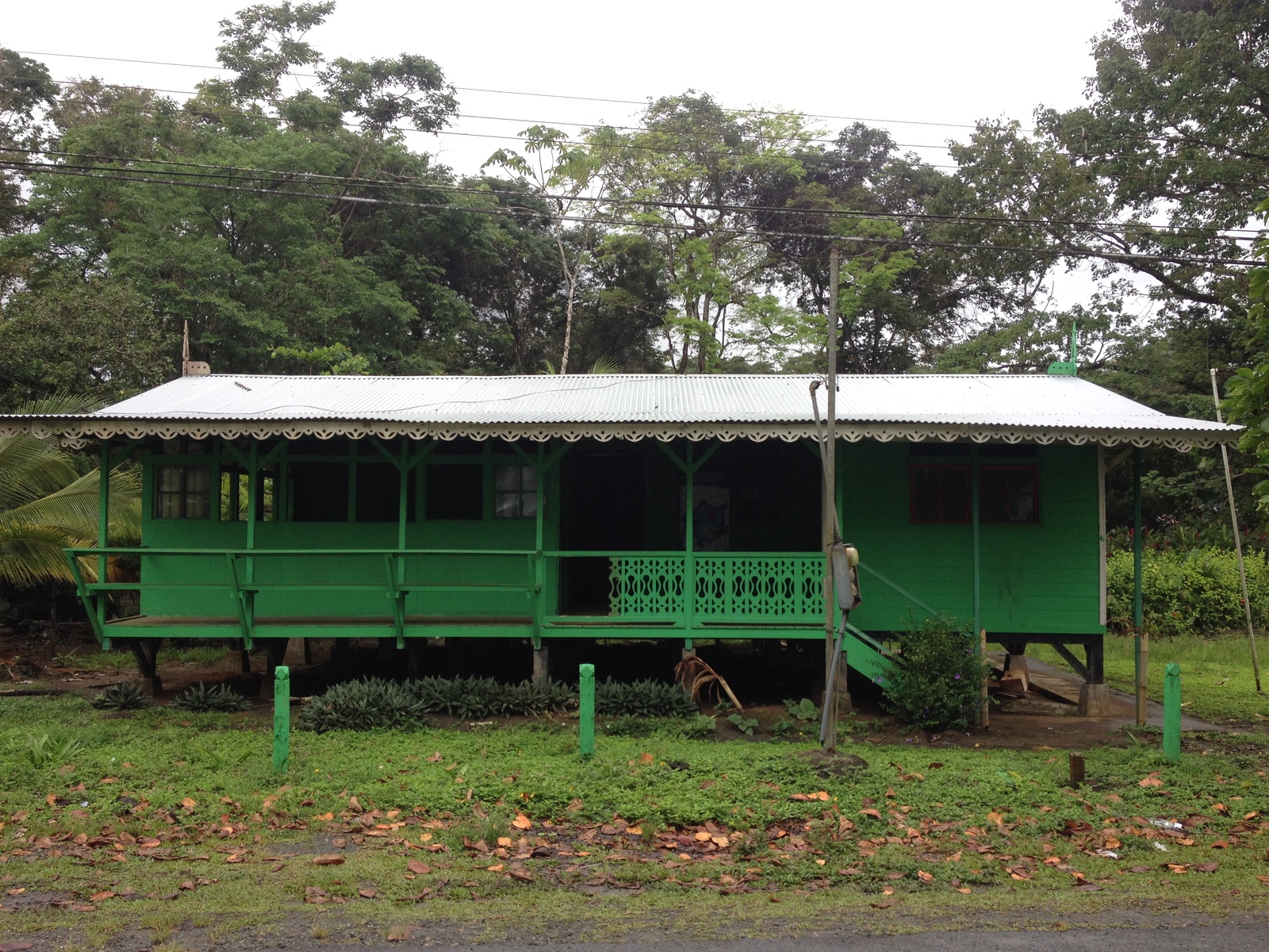 รูปถ่าย คอสตาริกา(Costa Rica) ปวยร์โตเบียโฆเดตาลามังกา(Puerto Viejo de Talamanca) 2015-03 85