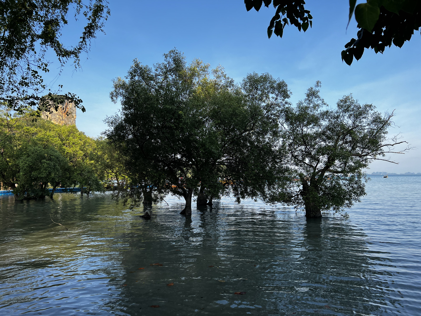 รูปถ่าย ไทย(Thailand) กระบี่(Krabi) 2023-01 271