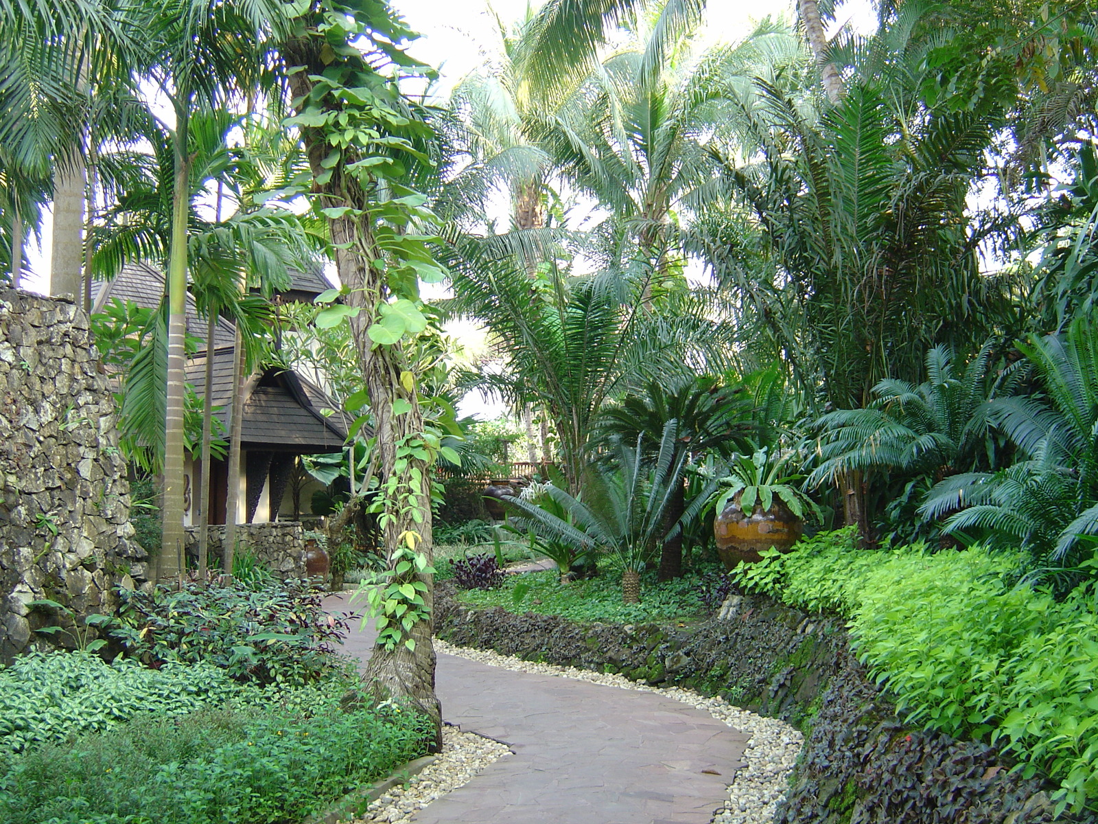 รูปถ่าย พม่า(Myanmar) ย่างกุ้ง(Yangon) โรงแรมกันดอจีพาเลซ(Kandawgyi Palace Hotel) 2005-01 35
