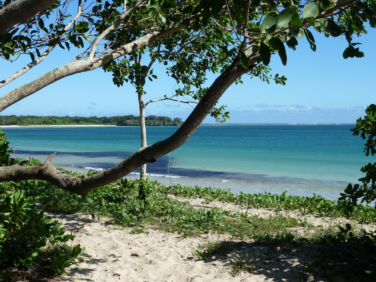 รูปถ่าย ฟิจิ(Fiji) 2010-05 35