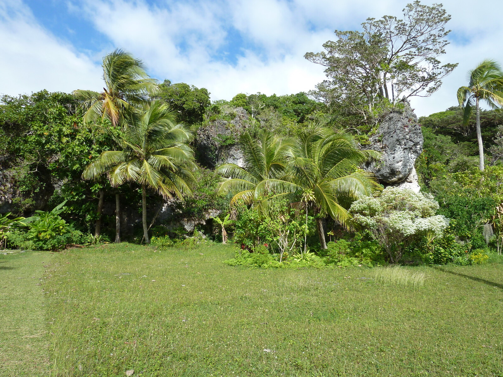 รูปถ่าย นิวแคลิโดเนีย(New Caledonia) เกาะลีฟู(Lifou) โยซิป(Josip) 2010-05 14