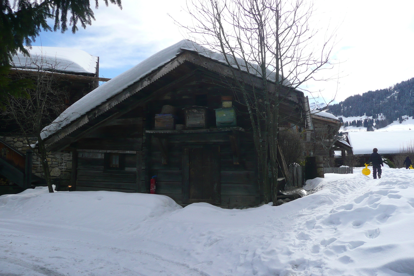 รูปถ่าย ฝรั่งเศส(France) เมแฌฟว์(Megeve) 2010-02 10