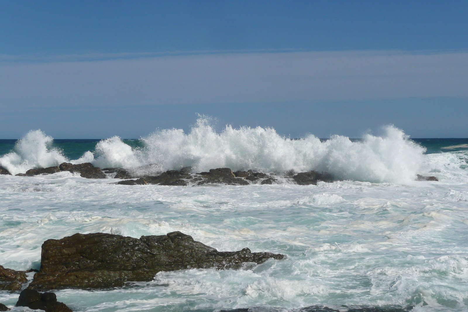 รูปถ่าย แอฟริกาใต้(South Africa) อุทยานแห่งชาติซิตซิคัมมา(Tsitsikamma National Park) 2008-09 83