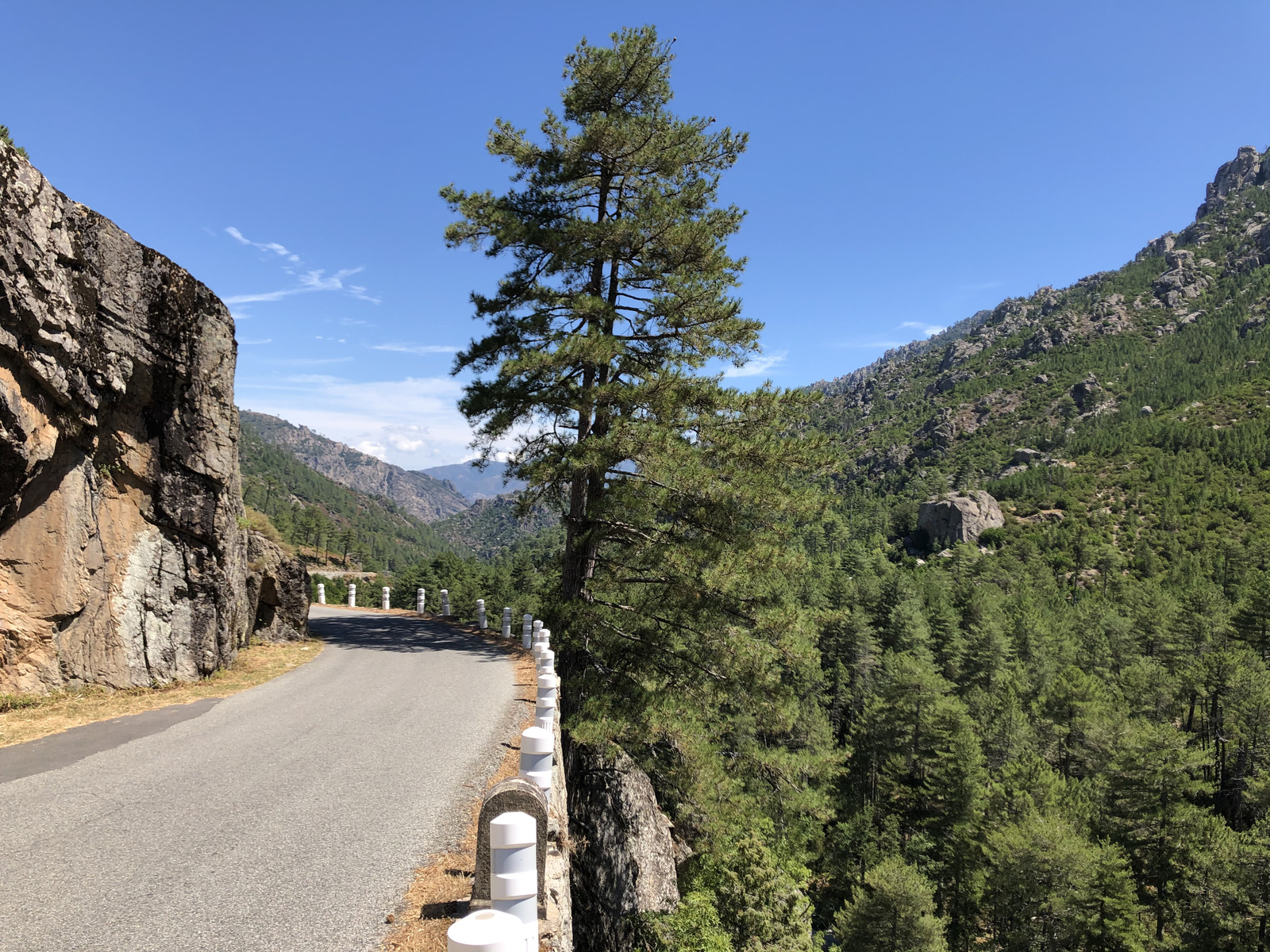 รูปถ่าย ฝรั่งเศส(France) คอร์สิคา(Corsica) หุบเขาลาเรสโตนีกา(La Restonica) 2020-07 47