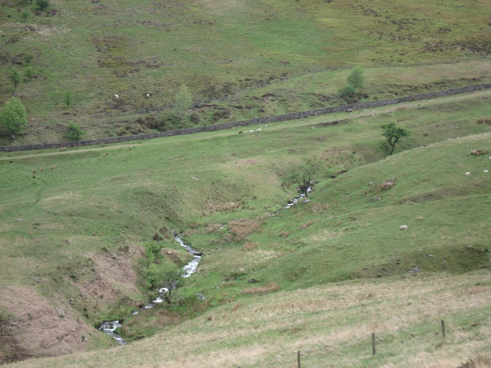 รูปถ่าย อังกฤษ(United Kingdom) อุทยานแห่งชาติเบรคอนบีคอนส์(Brecon Beacons National Park) 2006-05 98