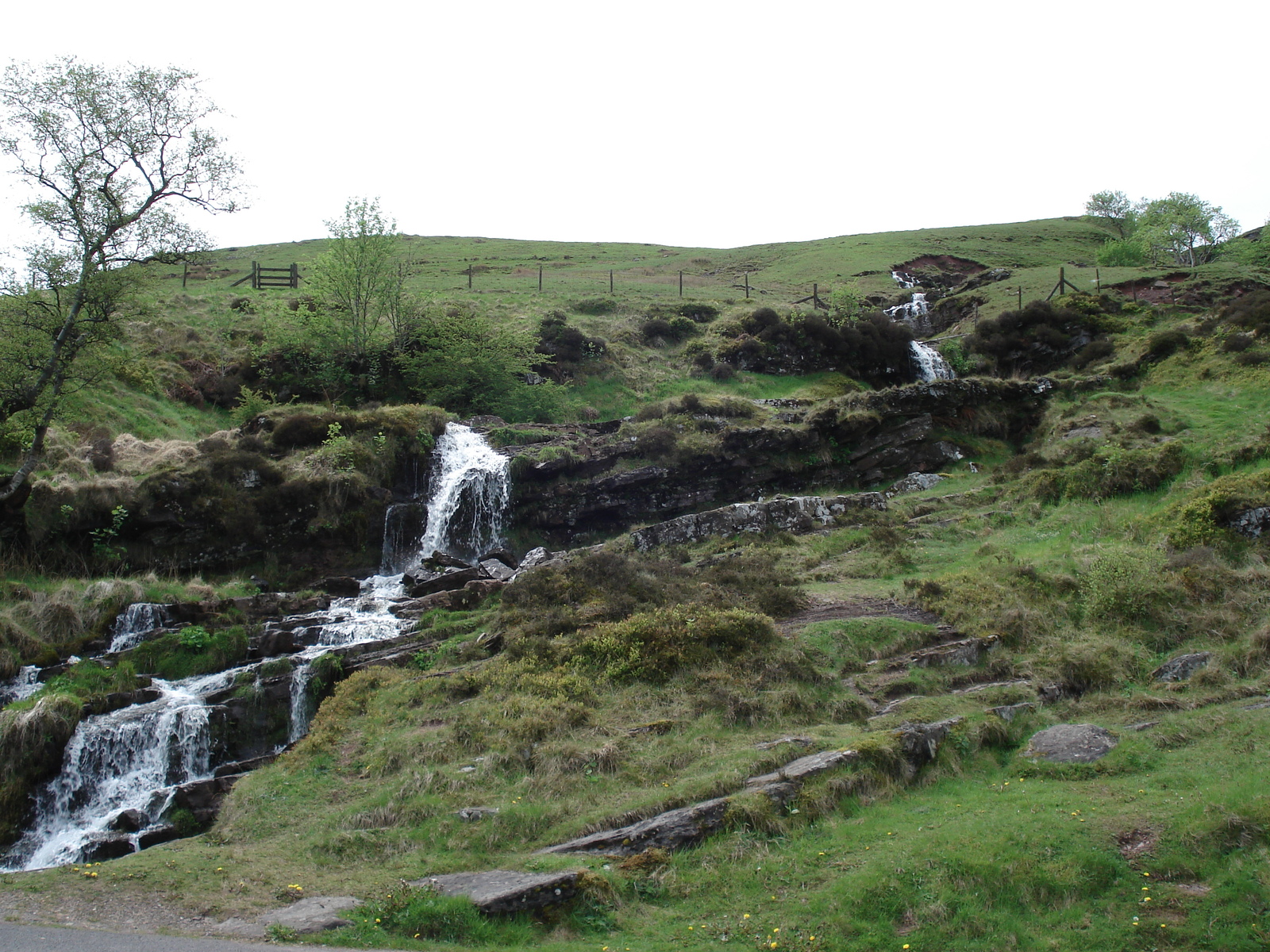 รูปถ่าย อังกฤษ(United Kingdom) อุทยานแห่งชาติเบรคอนบีคอนส์(Brecon Beacons National Park) 2006-05 24