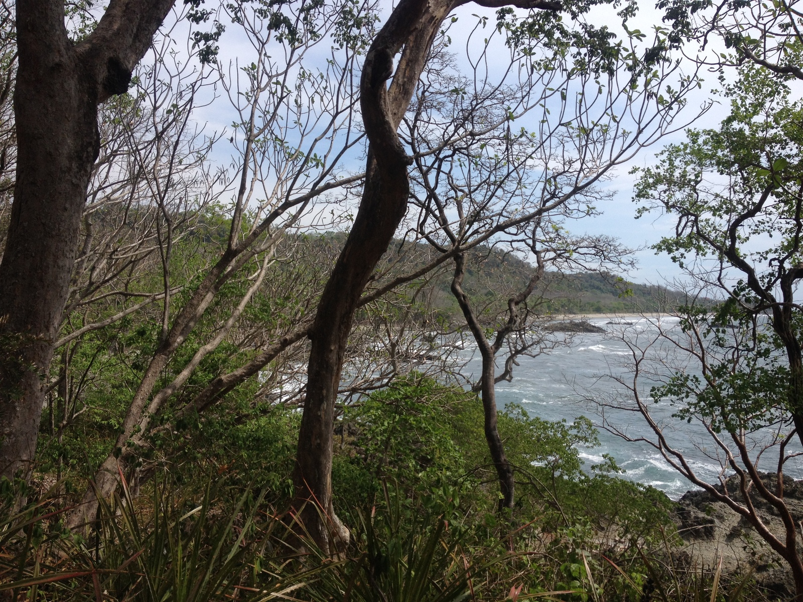 รูปถ่าย คอสตาริกา(Costa Rica) มอนเตซูมา(Montezuma) 2015-03 401