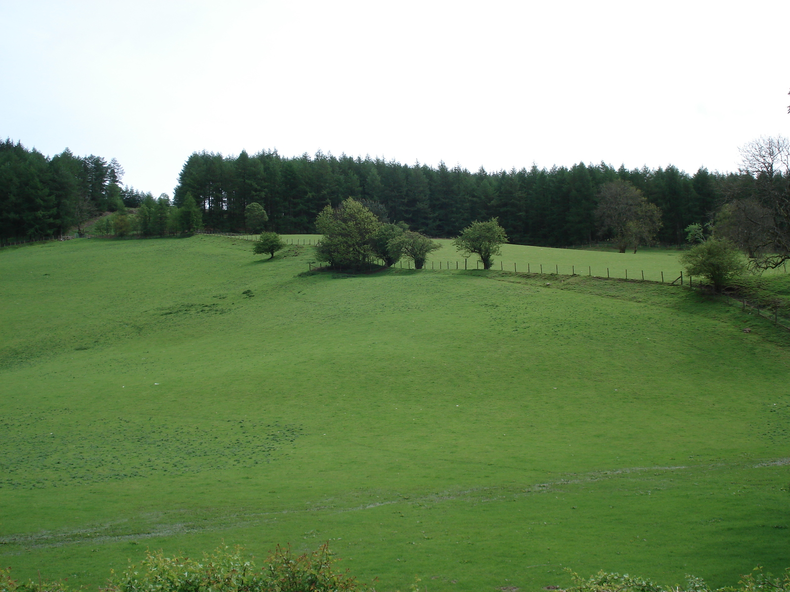 รูปถ่าย อังกฤษ(United Kingdom) อุทยานแห่งชาติเบรคอนบีคอนส์(Brecon Beacons National Park) 2006-05 10
