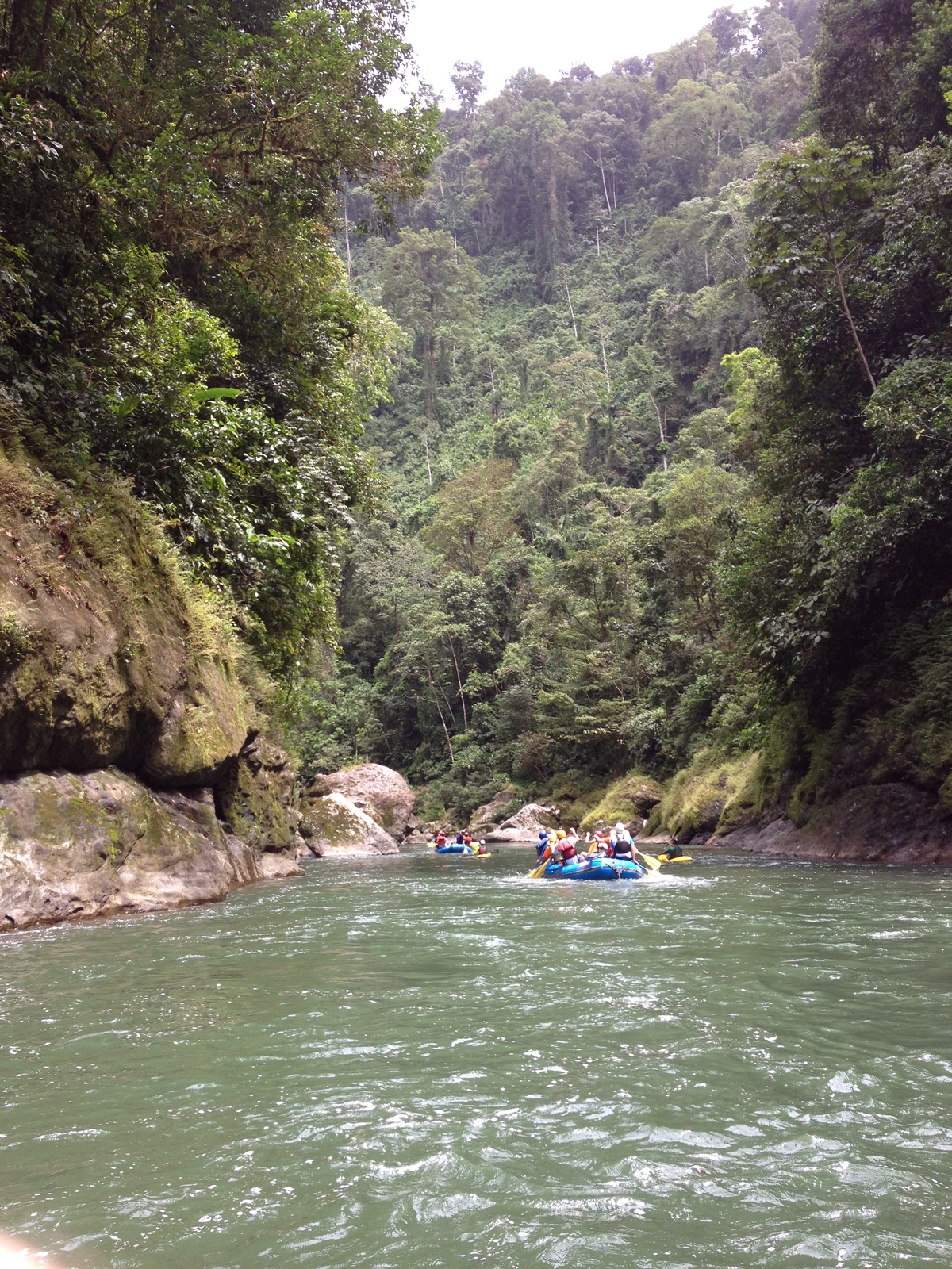 รูปถ่าย คอสตาริกา(Costa Rica) แม่น้ำปากัวเร(Pacuare River) 2015-03 67