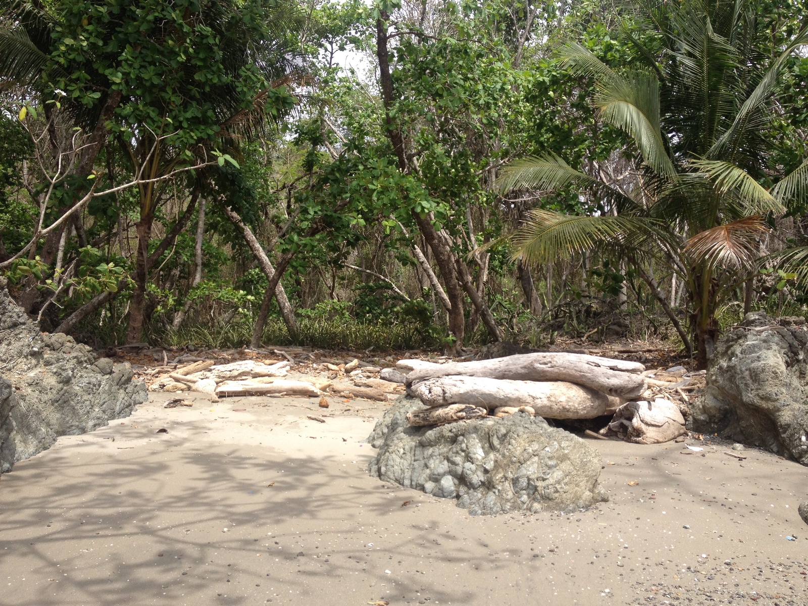 รูปถ่าย คอสตาริกา(Costa Rica) มอนเตซูมา(Montezuma) 2015-03 426