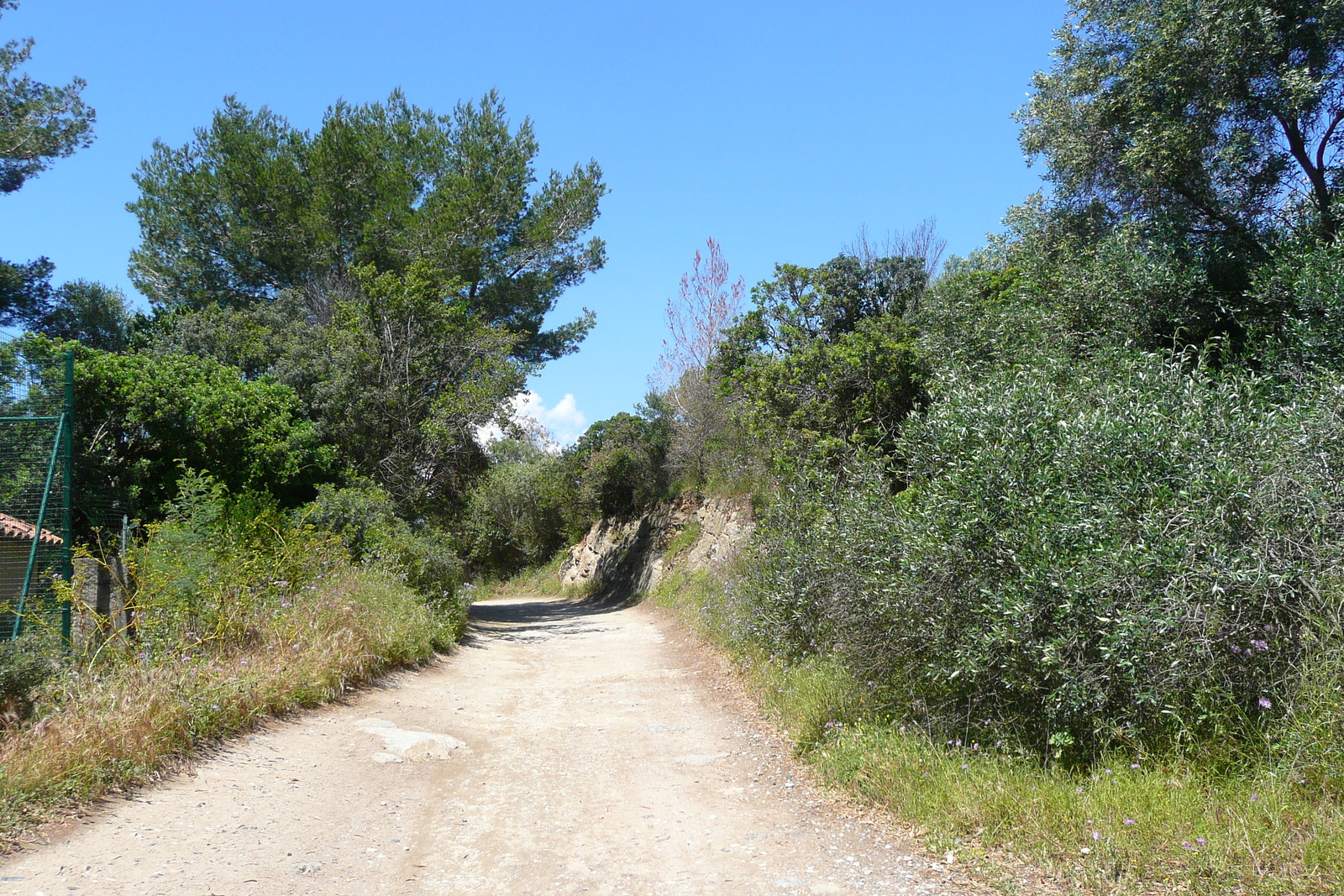 รูปถ่าย ฝรั่งเศส(France) เกาะปอร์เกอรอล(Porquerolles Island) แหลมแบร์ลีเยอ(Bearlieu Point) 2008-05 10